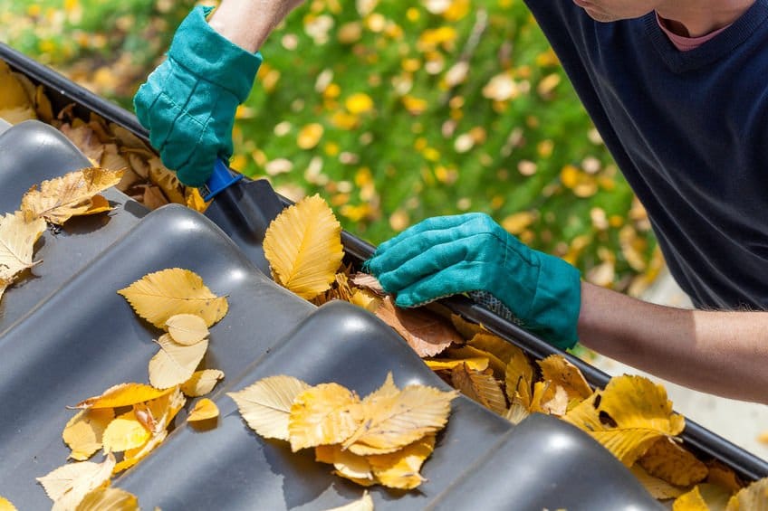 Gutters Importance