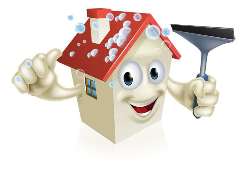 Roof Shingles Cleaning